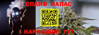 гидра Кимры