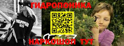 ГАЛЛЮЦИНОГЕННЫЕ ГРИБЫ Кингисепп