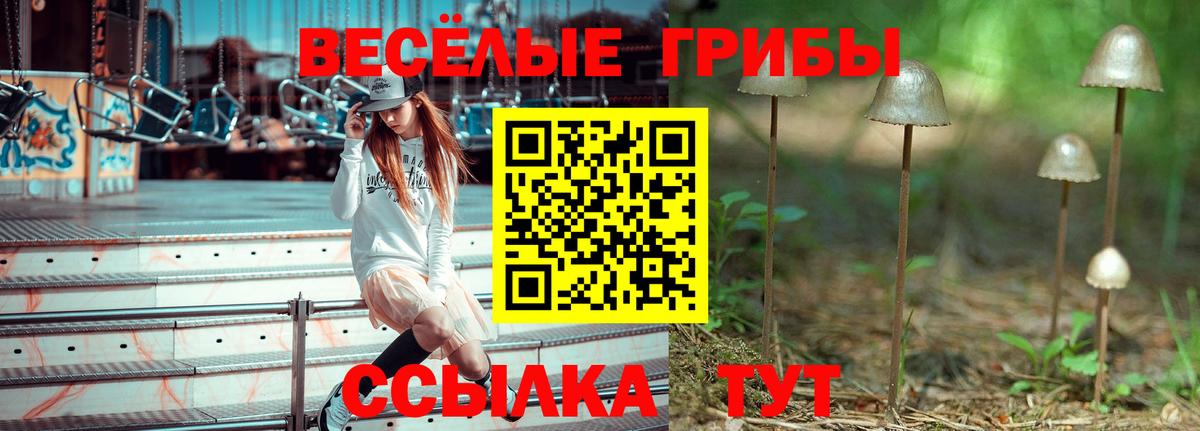 Чапаевск  Галлюциногенные грибы прущие грибы  купить  сайты  Вход с VPN 