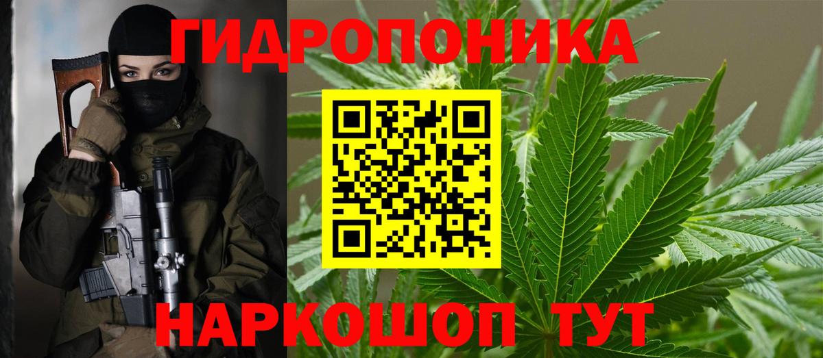 Каннабис план Чапаевск